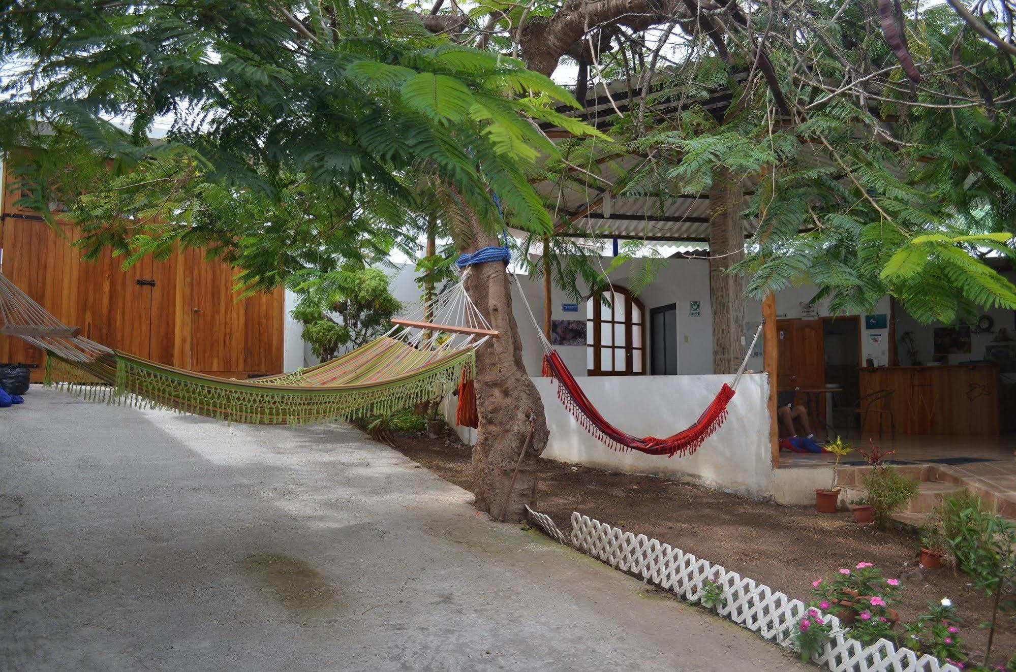 Hostal White House Galapagos ปูแอร์โตอาโยรา ภายนอก รูปภาพ